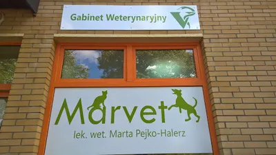 Gabinet Weterynaryjny Marvet